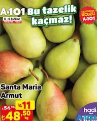 SANTA MARİA ARMUT KG SANTA MARİA ARMUT KG